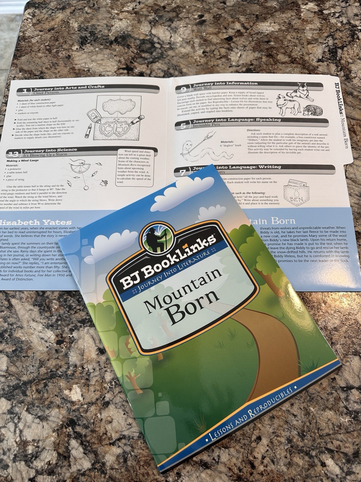 BJ BookLinks: Mountain Born PB Chapter Book Yates/Unwin + Lesson Plans