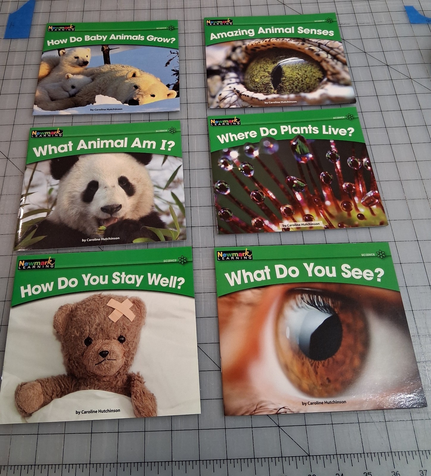 Newmark Learning Set of 12 Paperback by Carolyn Hutchinson Books