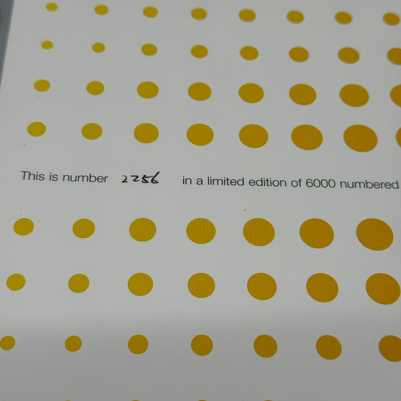 VISIONAIRE 28: BIBLE Edition by Philippe Starck: #2256 Of 6000 – Rare Limited