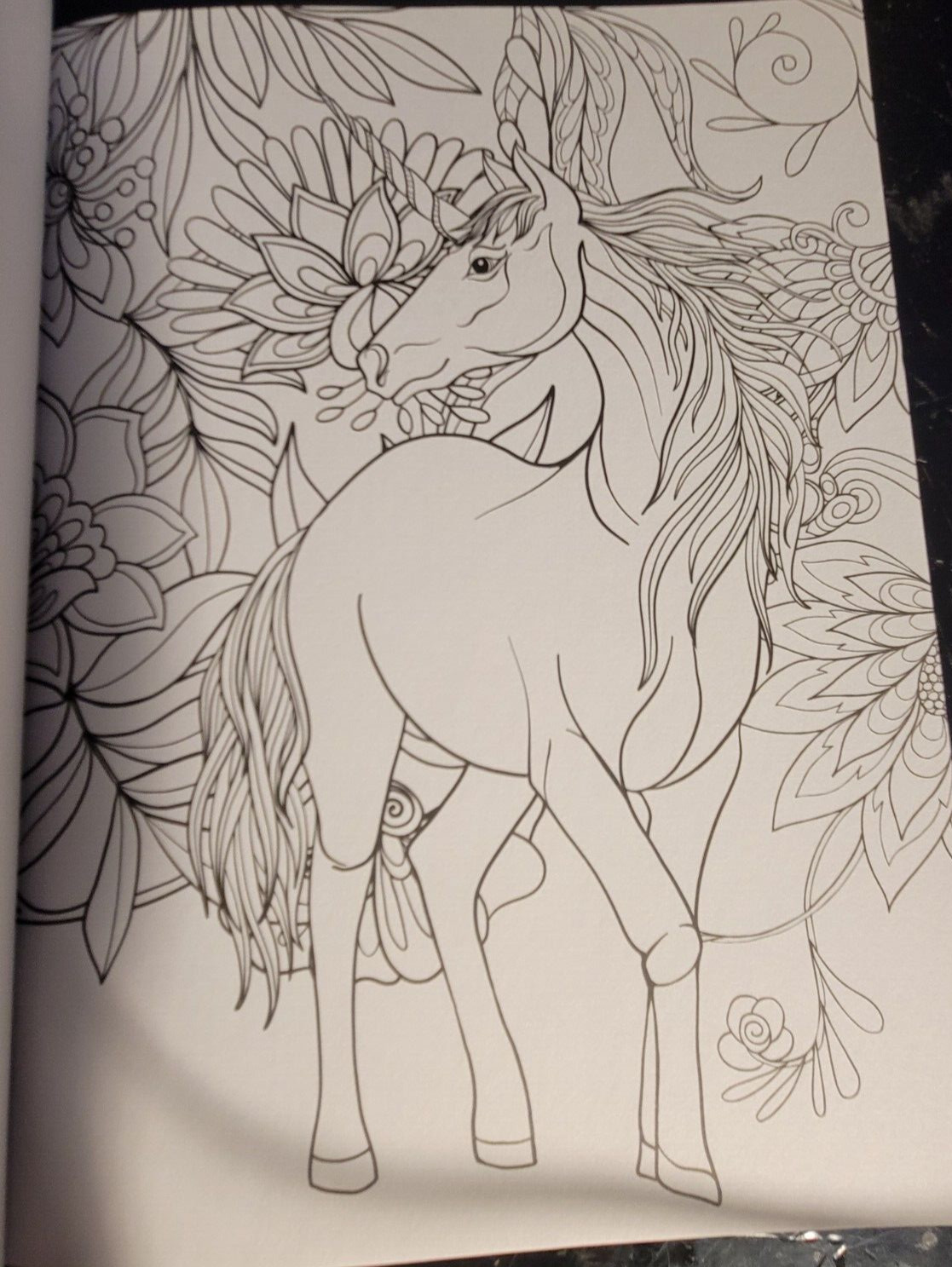 COLORING MYTH & MAGIC Vol 3 Adult Coloring Book With 47 Prints Ready To Frame
