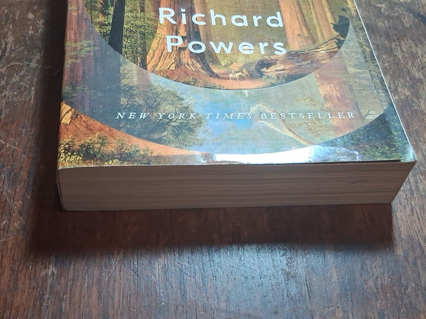 The Overstory Trade Paperback Book by Richard Powers 2018 Novel