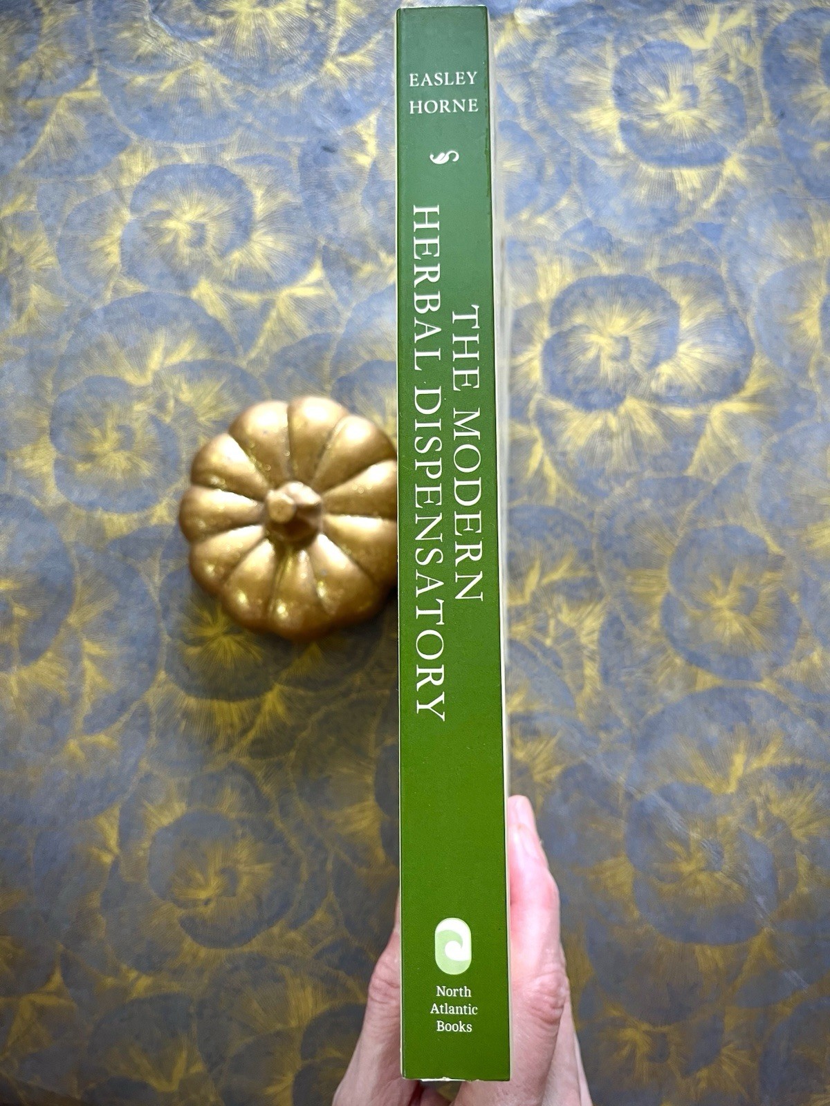 THE MODERN HERBAL DISPENSATORY A MEDICINE MAKING GUIDE EASLEY/HORNE BOTANICAL PB