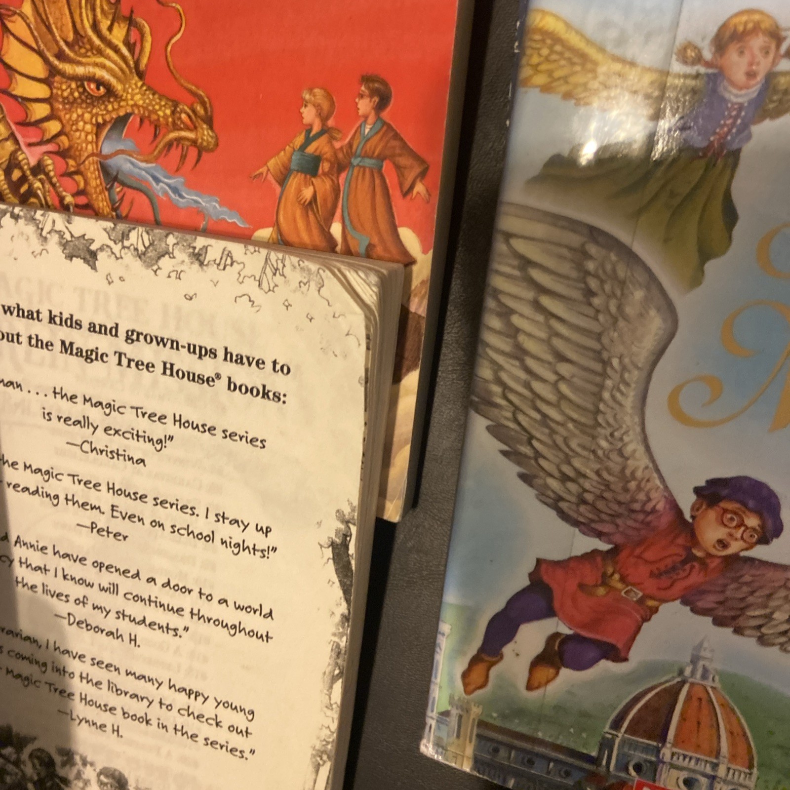 Magic Tree House + Merlin Missions + Research Guide Lot Of 51 PBs Acc-VG Cond