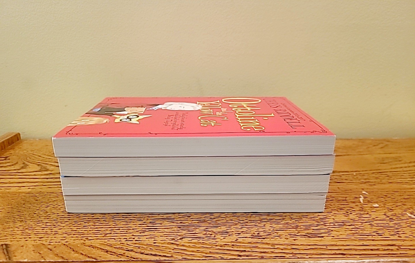 Ottoline Series by Chris Riddell Set of 4 Paperback Books