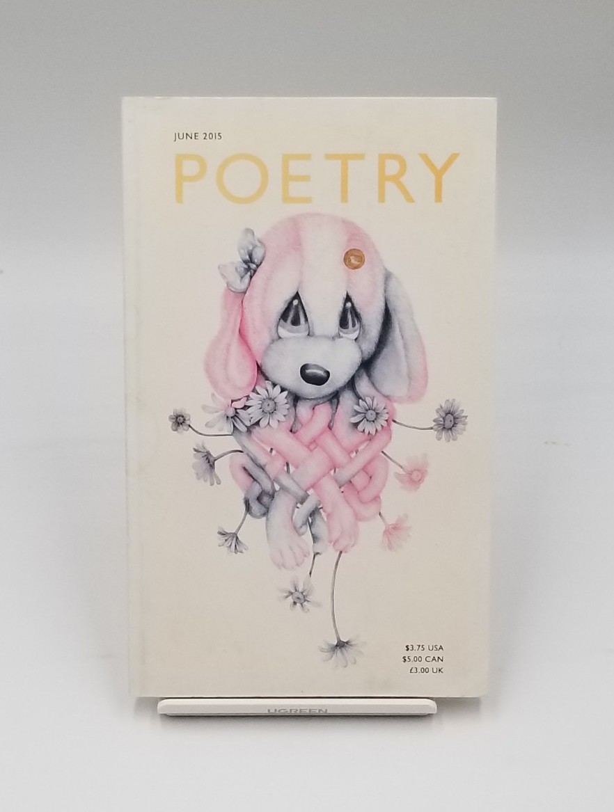 Poerty Magazine Lot Of 22 Assorted Issues From 2013 – 2016 – Free Shipping