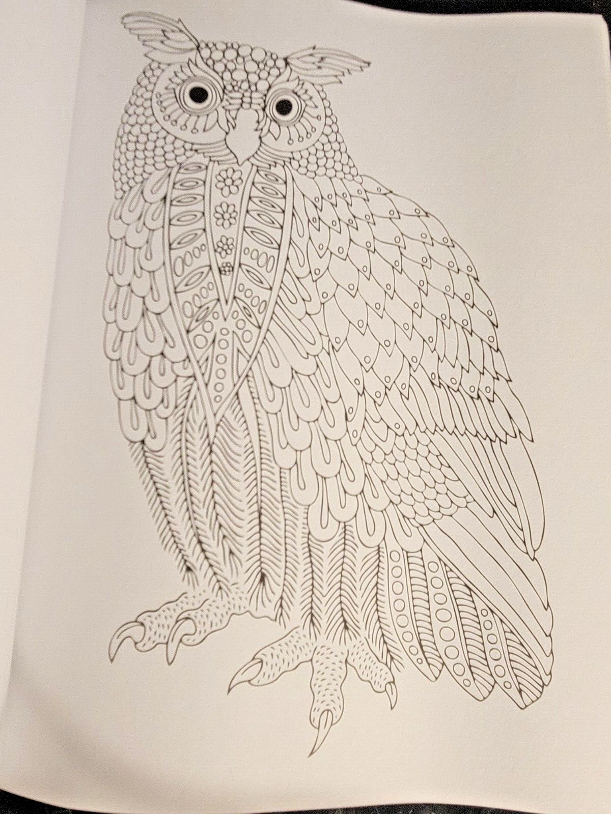 COLORS OF THE WILD! Vol. 16 Adult Coloring Book With 47 Prints Ready To Frame!