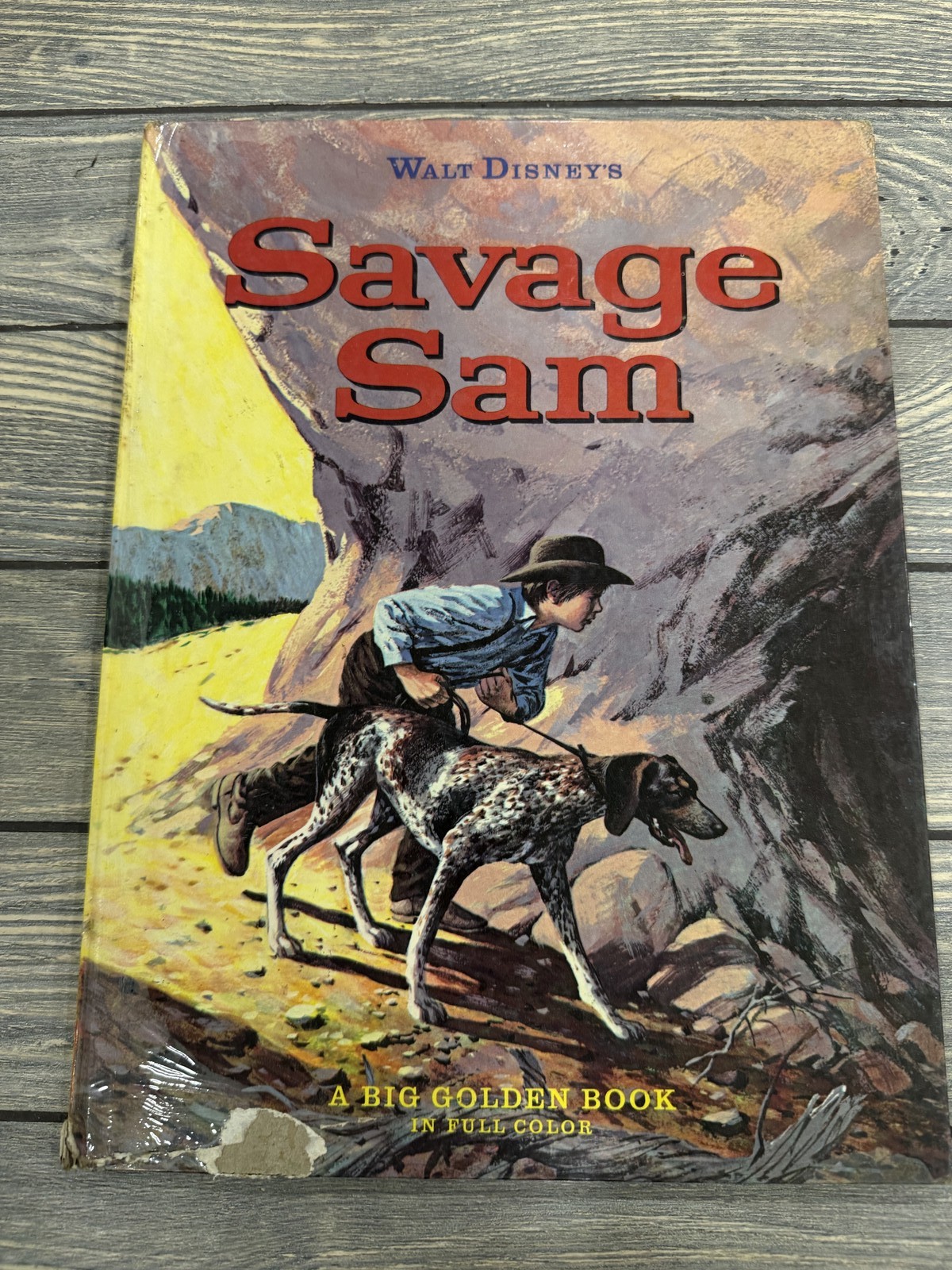 Walt Disney’s Savage Sam A Big Golden Book 1963 Hardcover Vintage Children’s