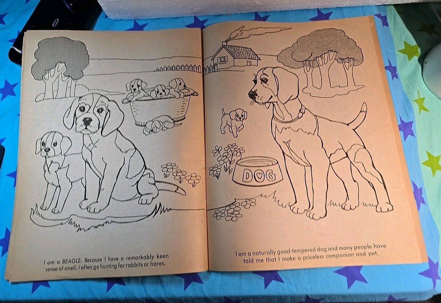 Vintage 1975 Giant Coloring Book “I LOVE DOGS” 11X14.5