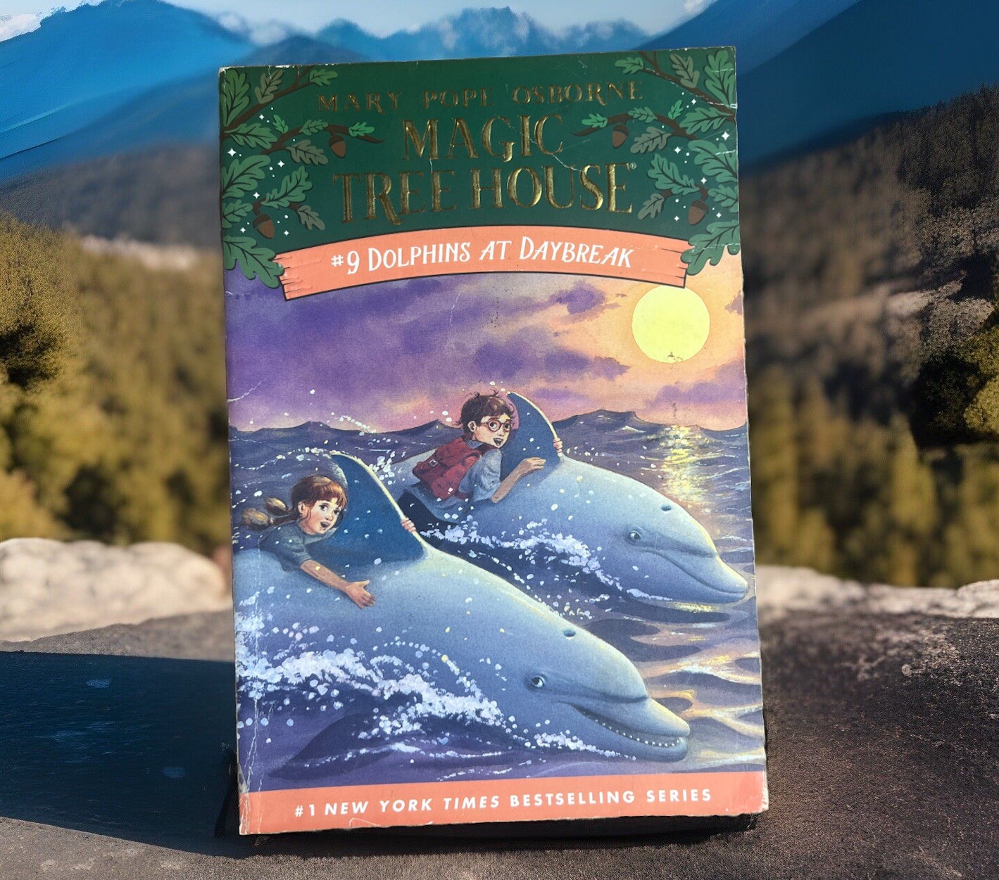 Dolphins at Daybreak (Magic Tree House, No. 9)