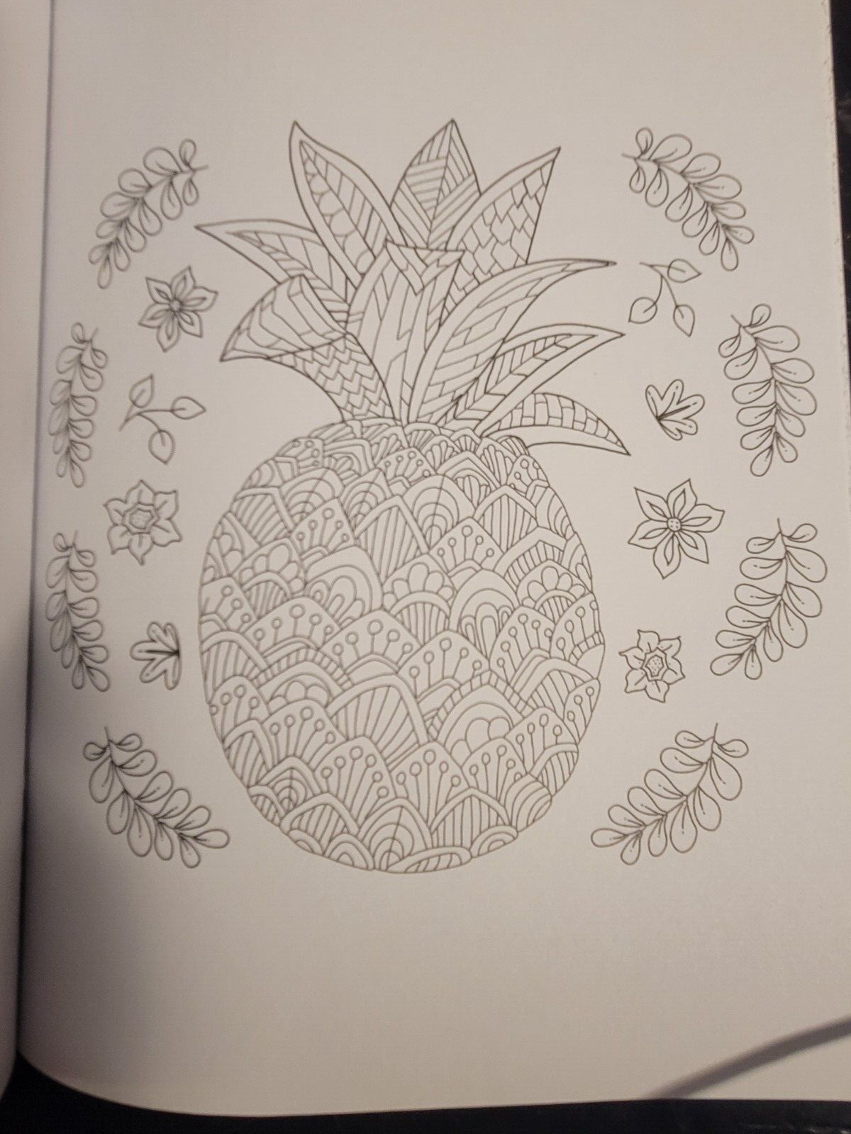 COLOR ME MAGNIFICENT Vol 12 Adult Coloring Book With 47 Prints Ready To Frame