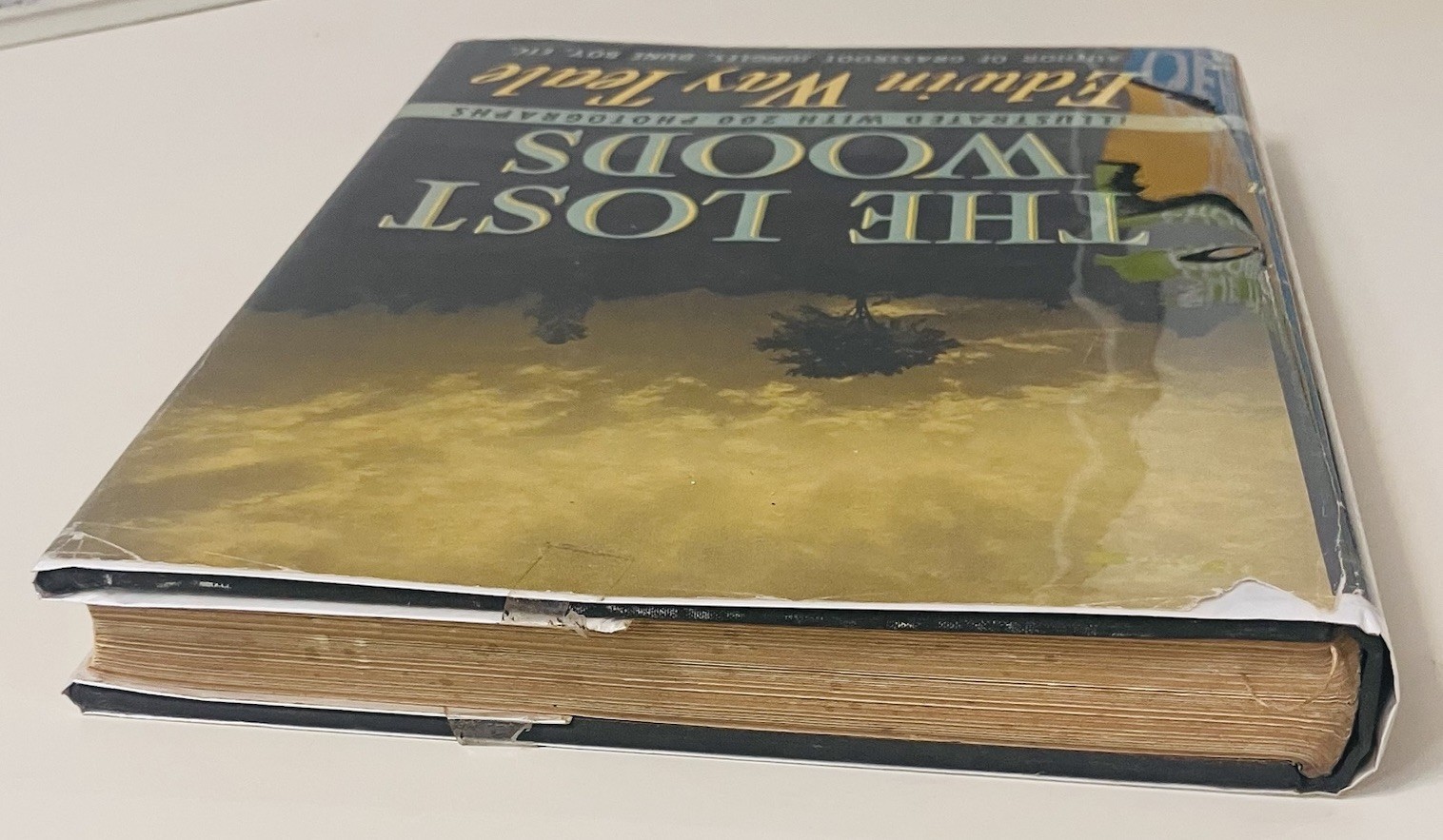 The Lost Woods – Edwin Way Teale – 1945 HC 1st Ed w/ Dust Jacket