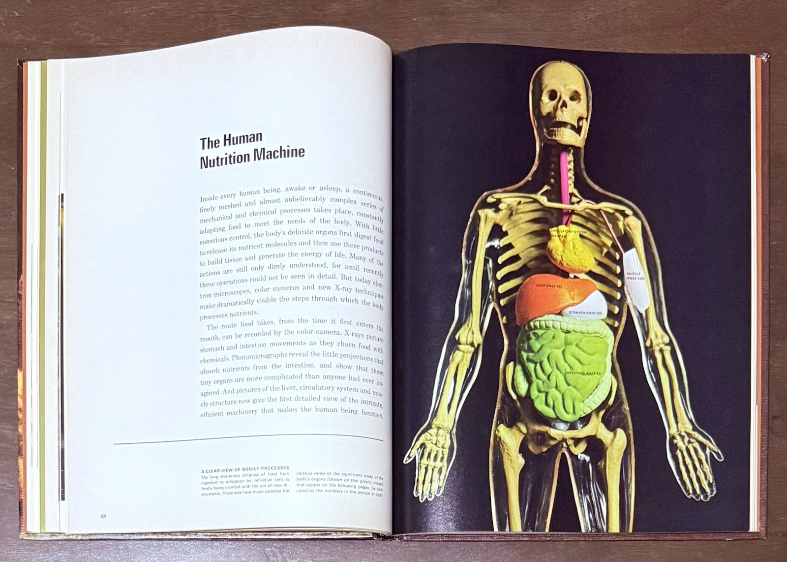 Food & Nutrition by Sebrell Jr & Haggerty, Time Life Science Library. Great Info