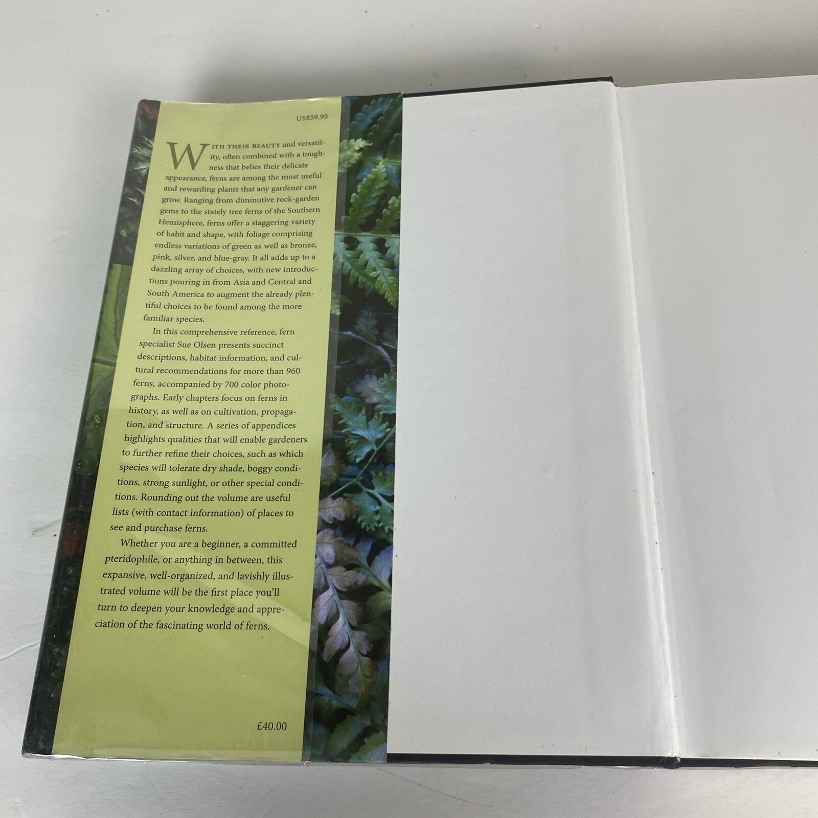 Garden Ferns Unlocked: Sue Olsens Ultimate Visual Guide to 950+ Stunning Ferns