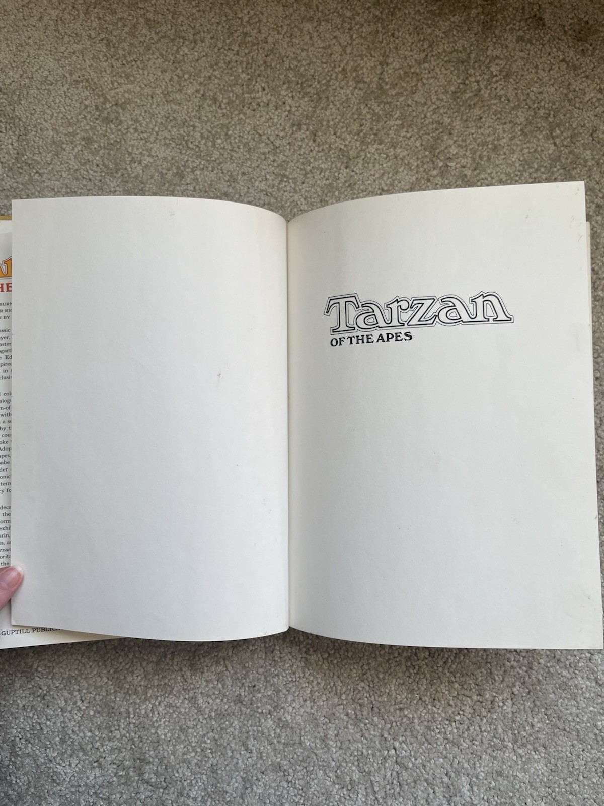 Tarzan Of The Apes Burne Hogarth 1972 Watson-Guptill 1st Ed Dust Jacket Hardback