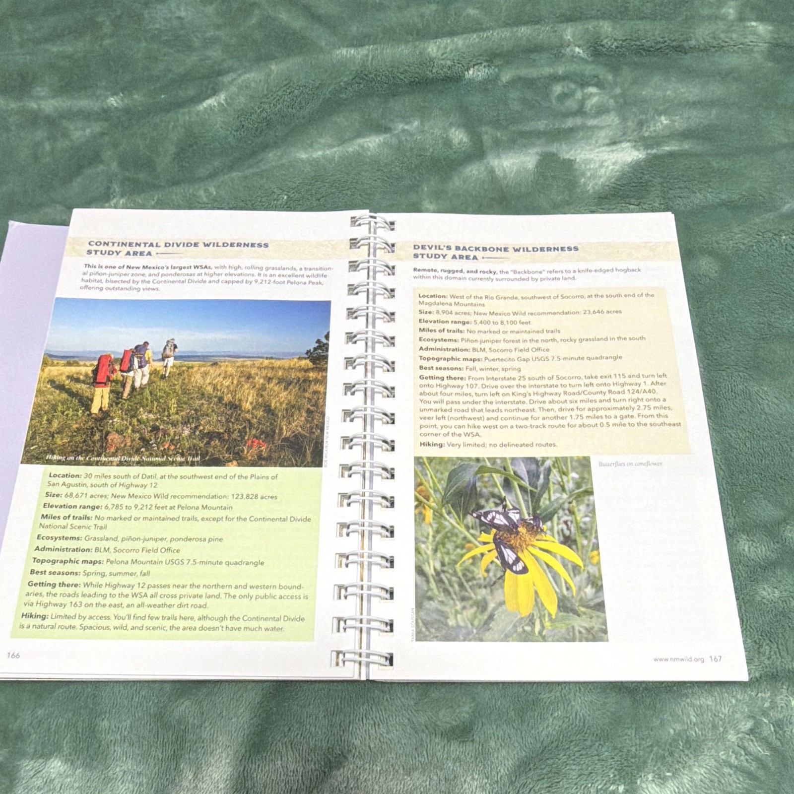 Bob Julyan Wild Guide: Passport to New Mexico Wilderness 2nd Ed Spiral