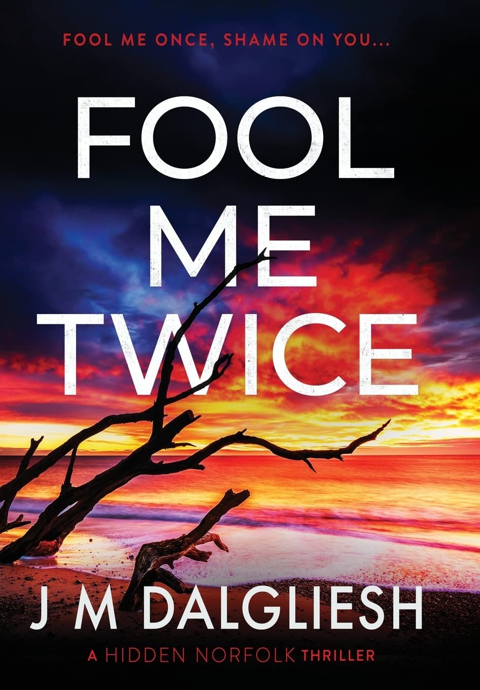 Fool Me Twice (Hidden Norfolk)