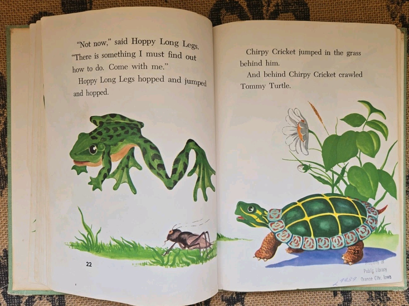 Stories about Frogs Childrens Book Lot Freddie the Frog, Hoppy Long Legs, Gorky