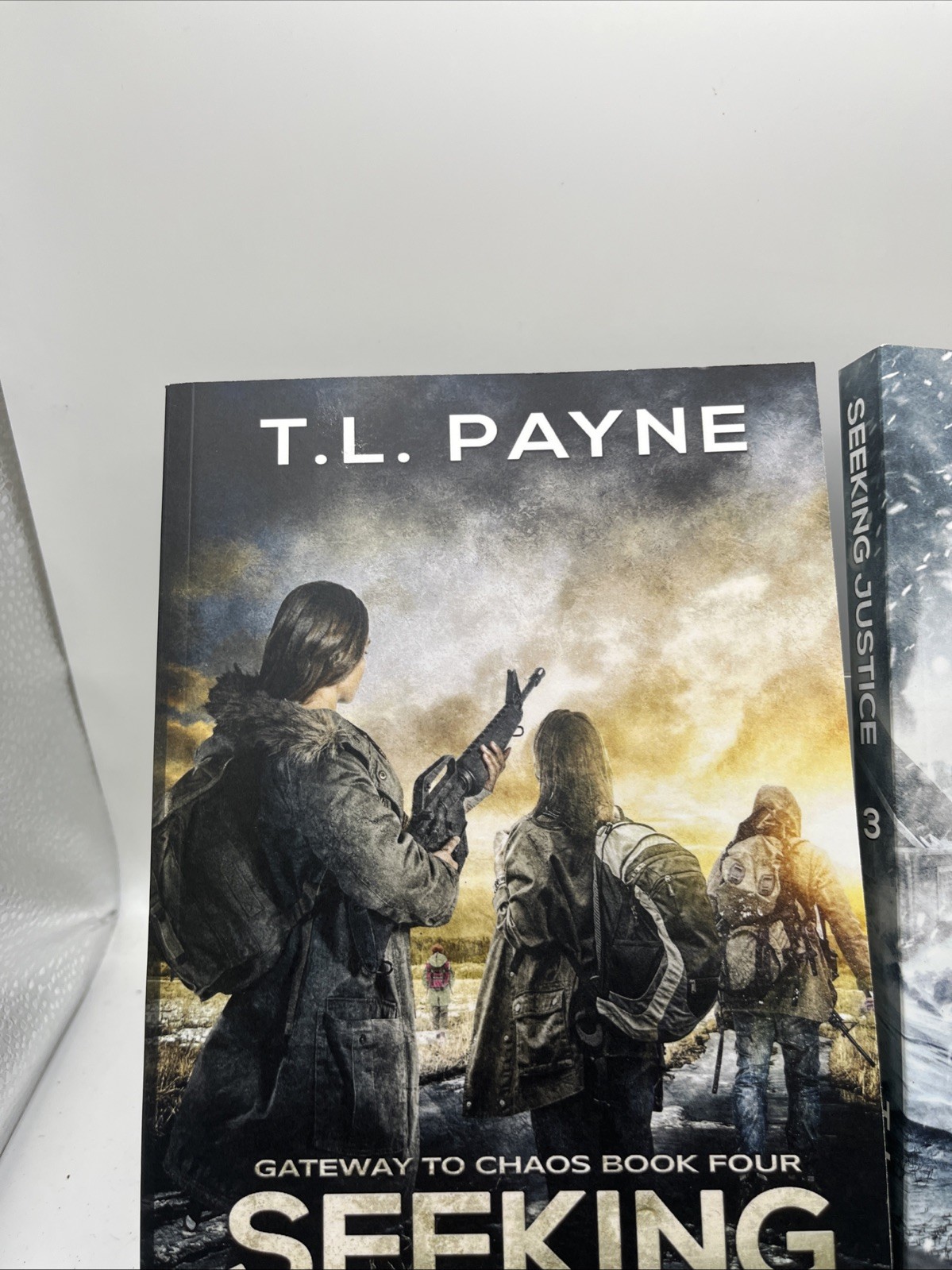 Gateway to chaos book series set of 2- Book 3 Seeking Hope & 4 Seeking Justice