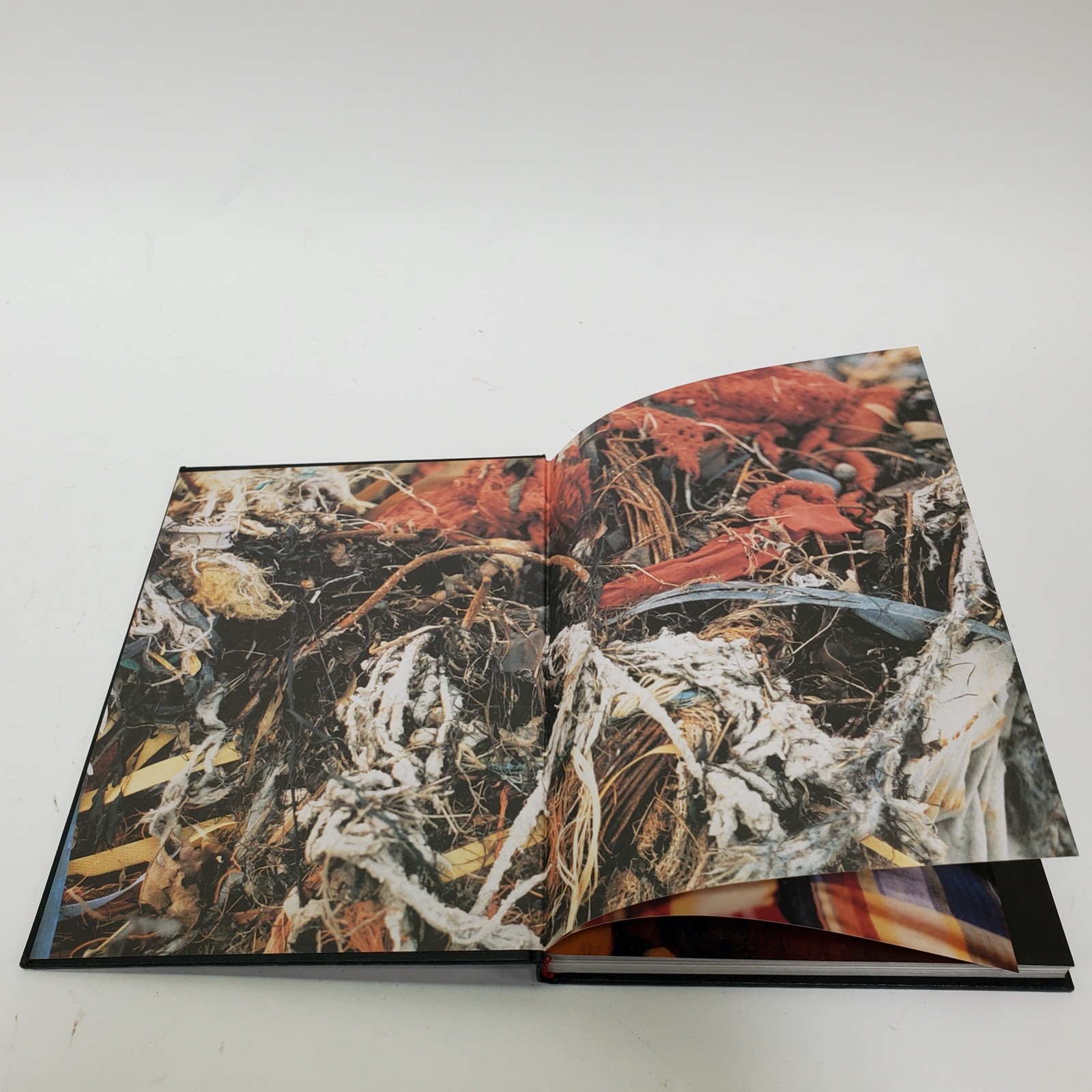 David Byrne Strange Ritual 1995 Hardcover 1st Edition Art Photo Talking Heads
