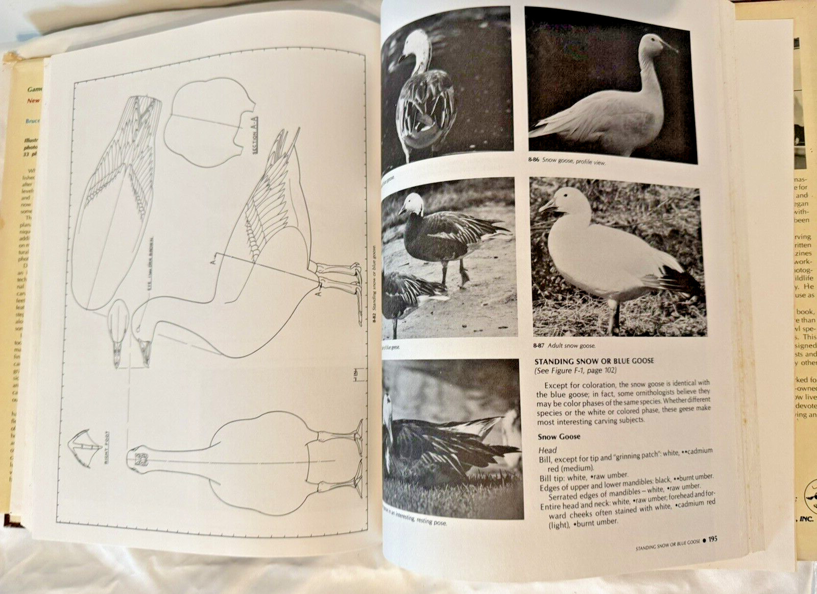 Game Bird Carving Tools Techniques Bruce Burk Vintage Book 1972 HC DJ Decoy