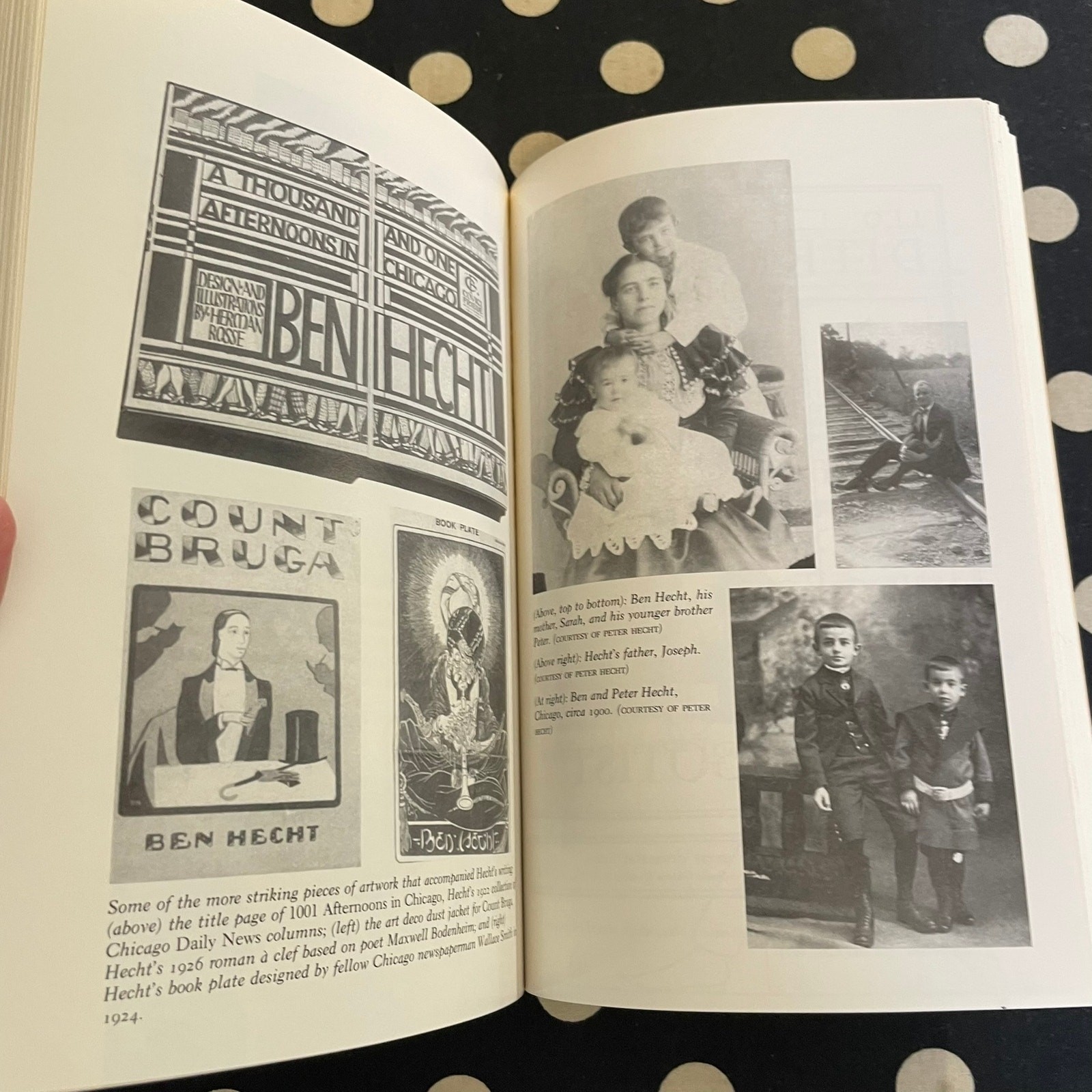 Ben Hecht: A Biography by William MacAdams 1990 Softcover
