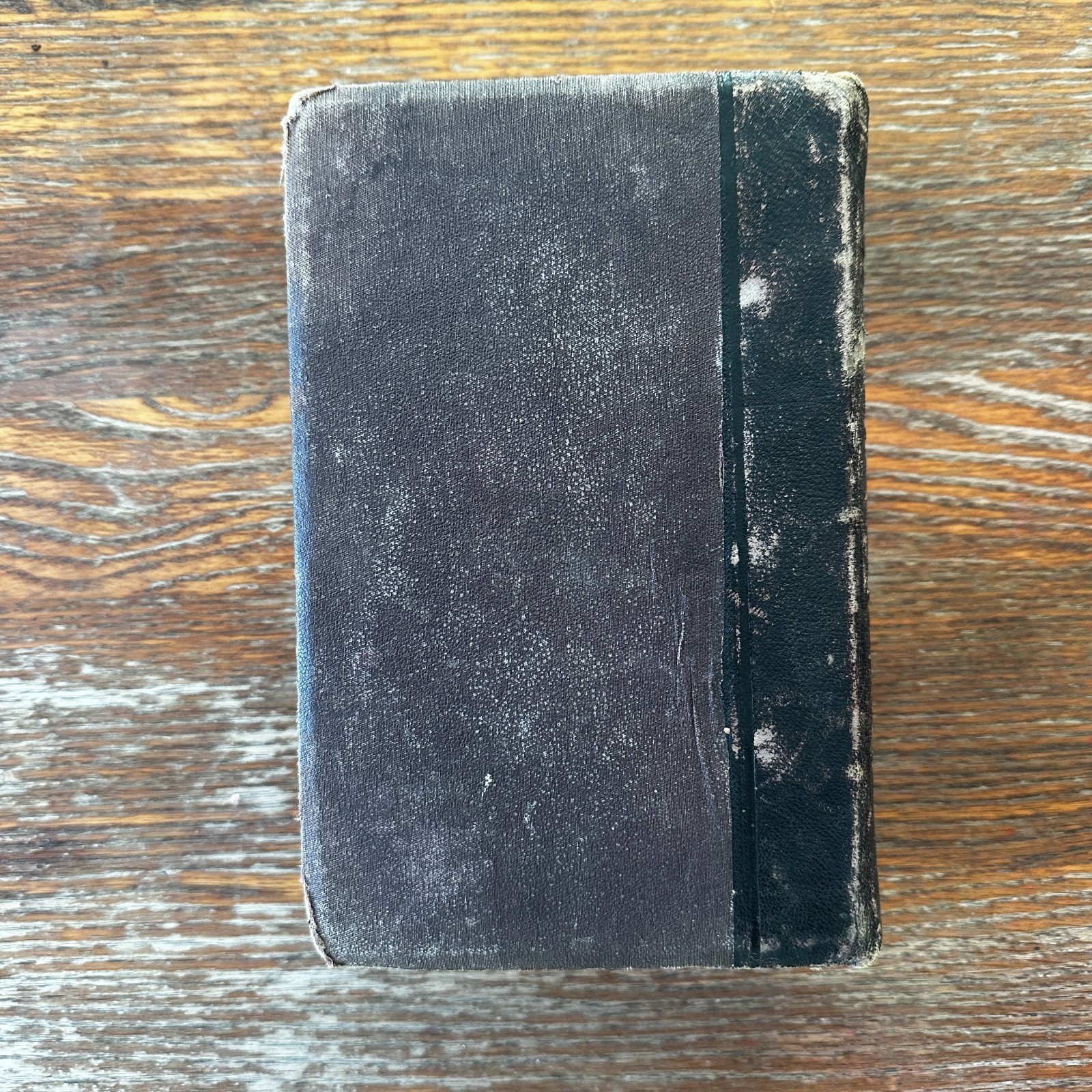 Text Book of Modern Medicine and Surgery On Homeopathic Principles HC 1876