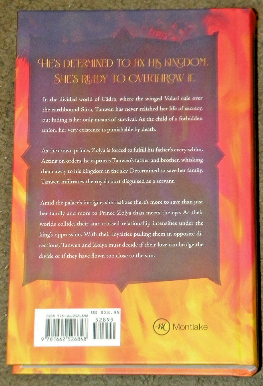 Scorched Skies, Hardcover by Mellow, E. J., Brand New, Free shipping in the US