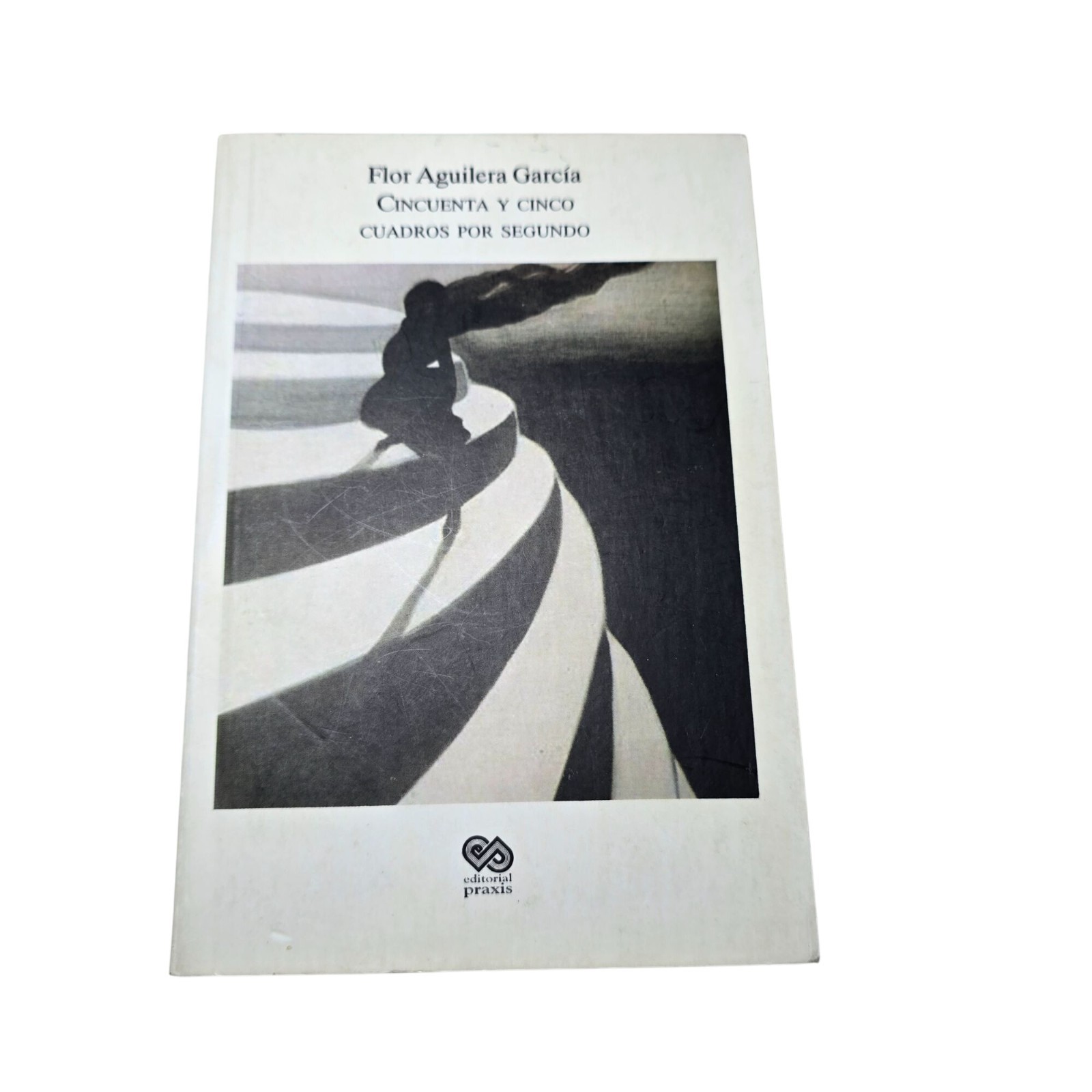 Cincuenta y Cinco Cuadros Por Segundo Flor Aguilera Garcia Poetry Mexican Poems