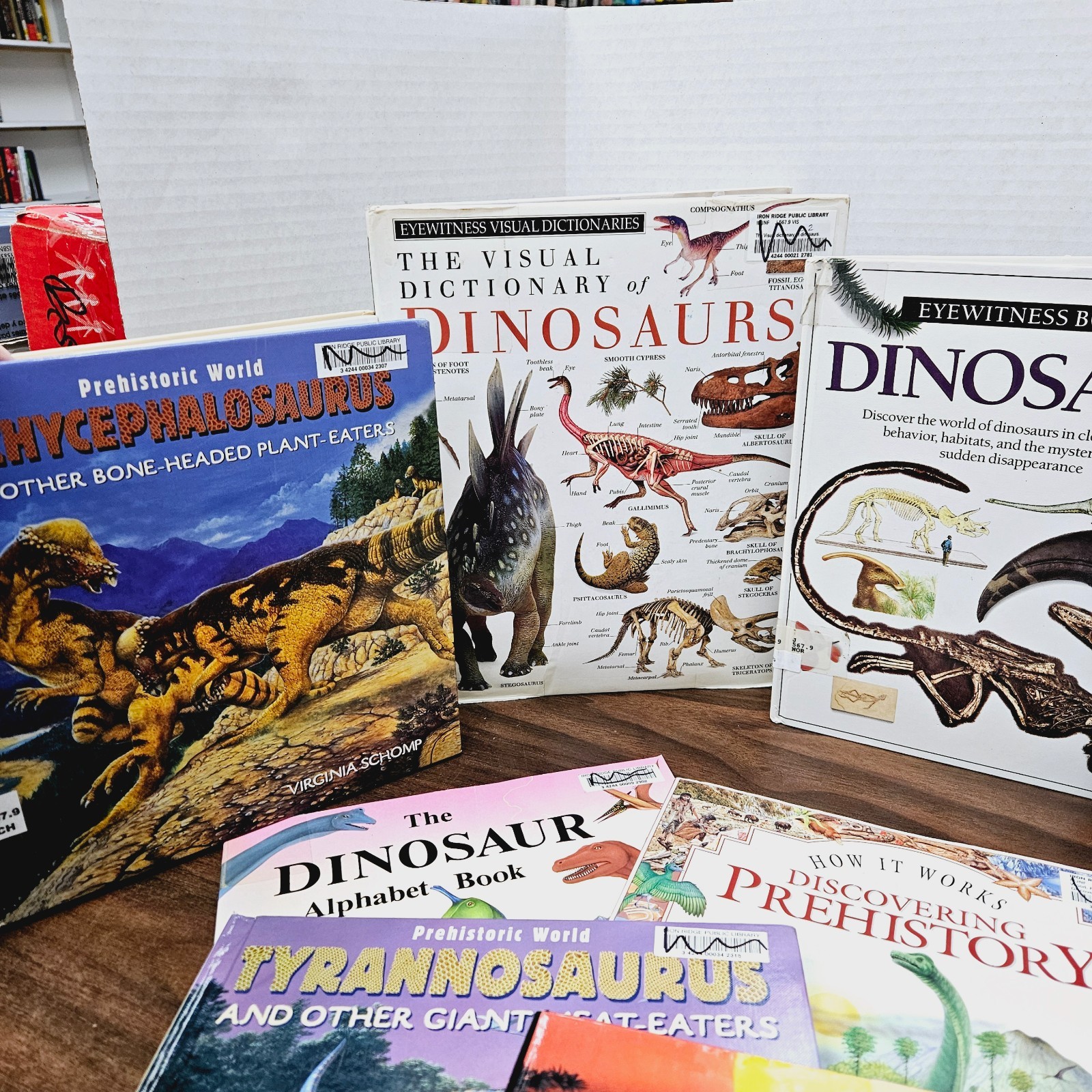 Kids Books About Dinosaurs Lot of 10 Homeschool Classroom Library Eyewitness