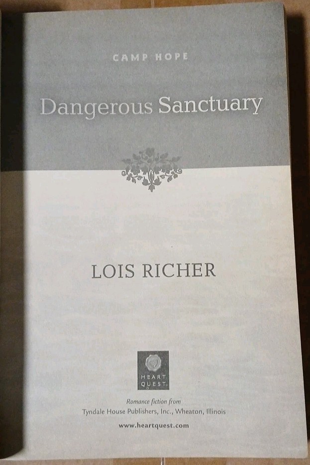 Dangerous Sanctuary by Lois Richer (2004, Trade Paperback)