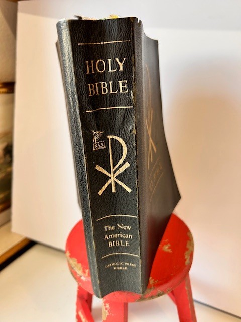 Holy Bible New American Bible NAB Catholic Press World First Edition 1970