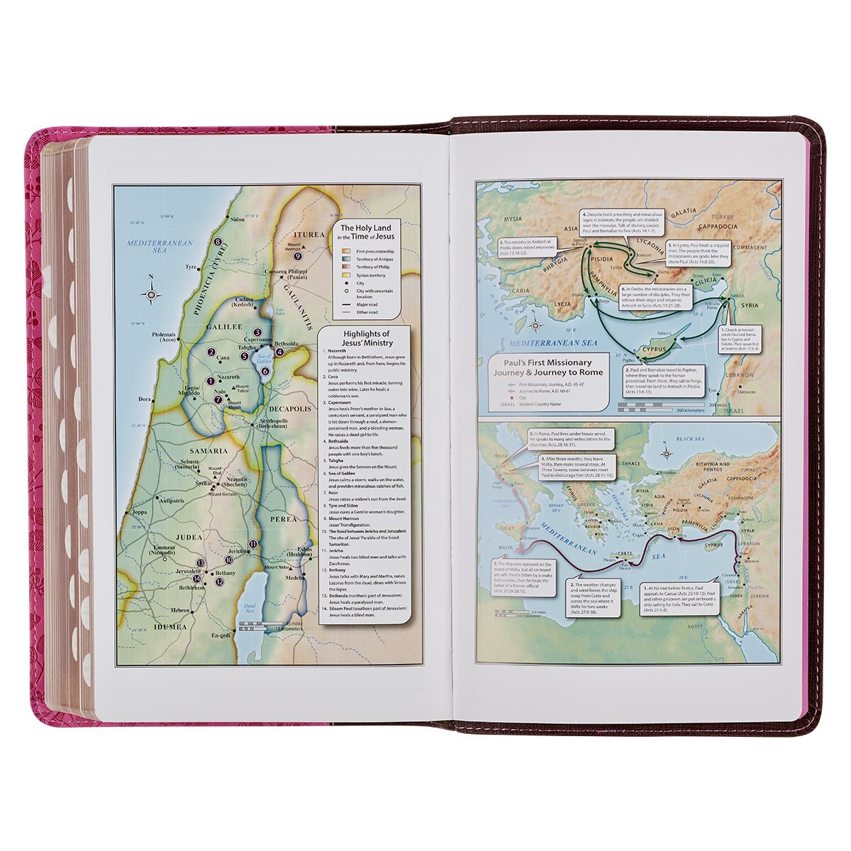 The Holy Bible King James Version Giant Print Brown / Berry Pink Thumb Indexed
