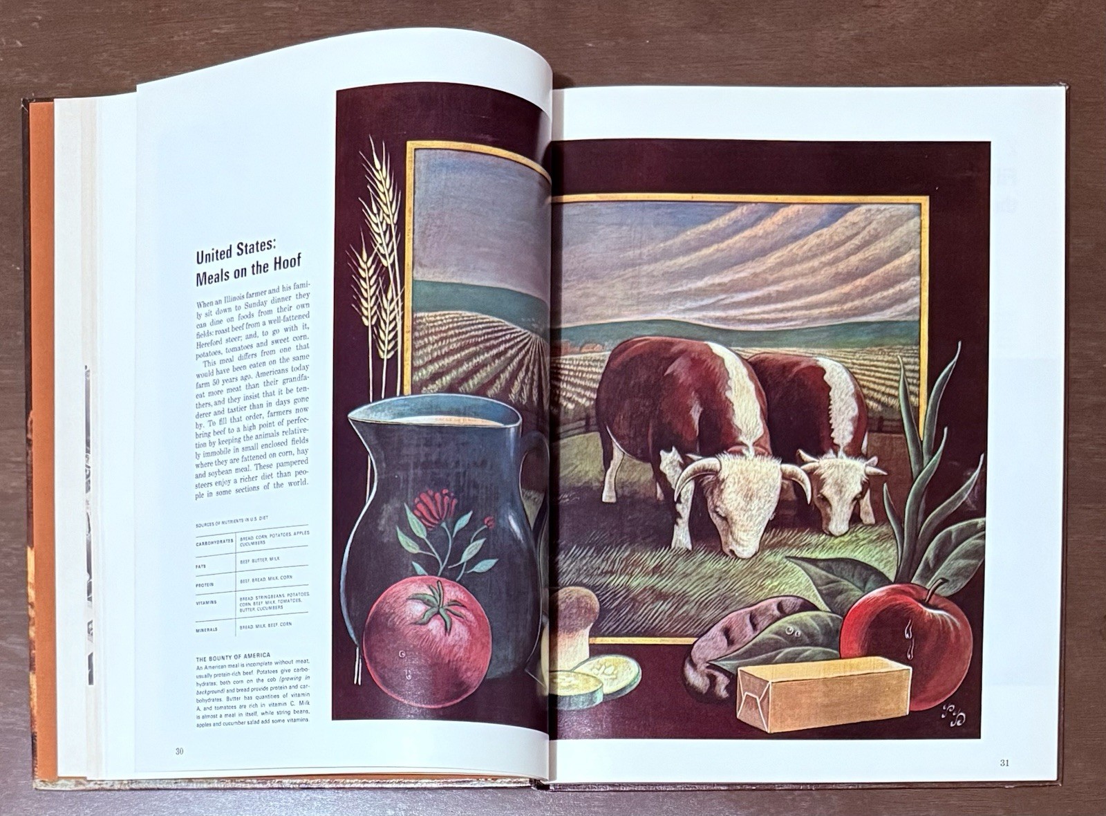 Food & Nutrition by Sebrell Jr & Haggerty, Time Life Science Library. Great Info