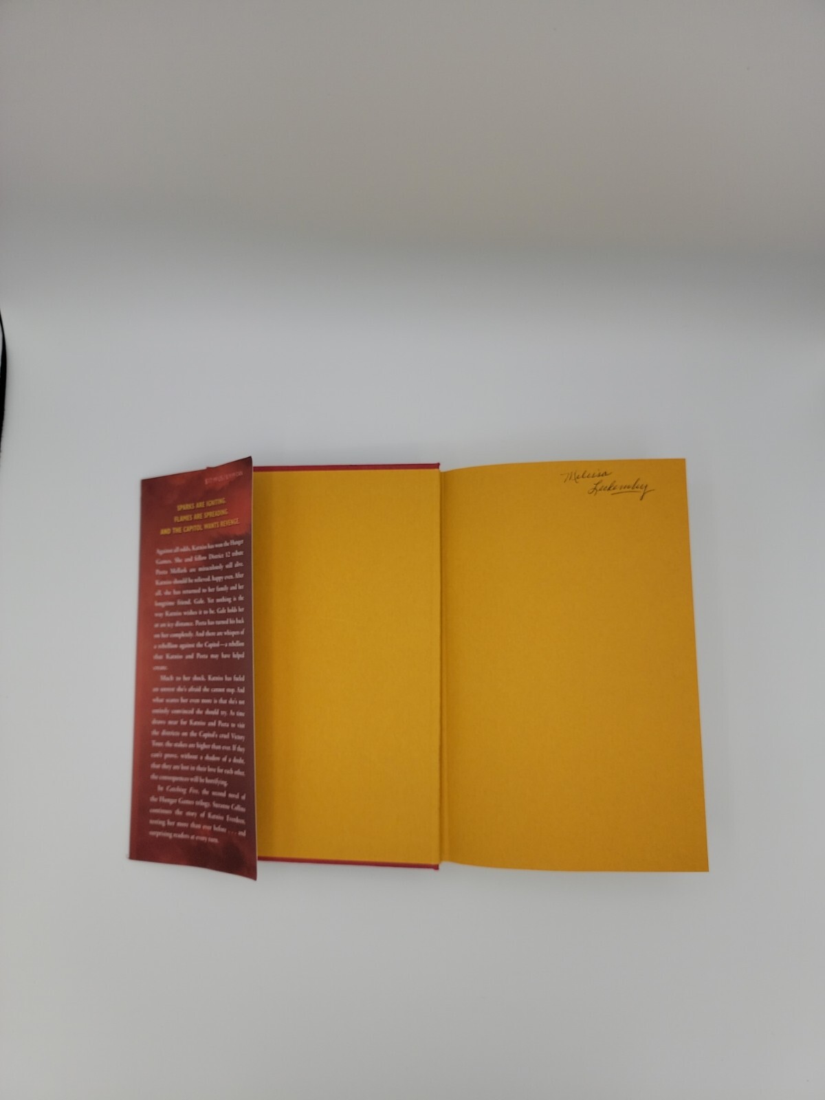 CATCHING FIRE by Suzanne Collins, Hardcover, First Edition