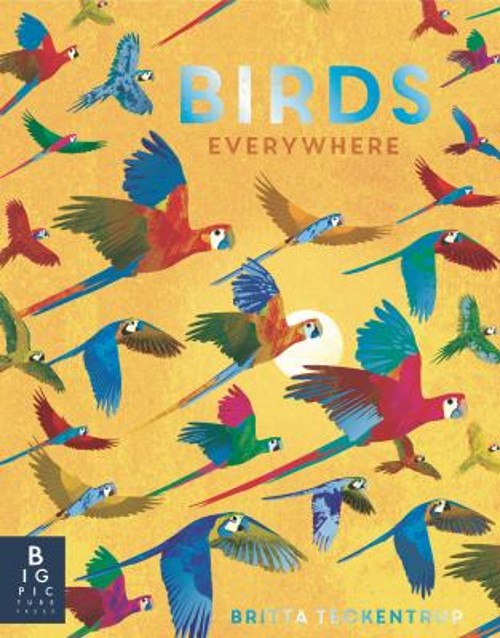 Birds Everywhere Picture Book Camilla de la Bedoyere