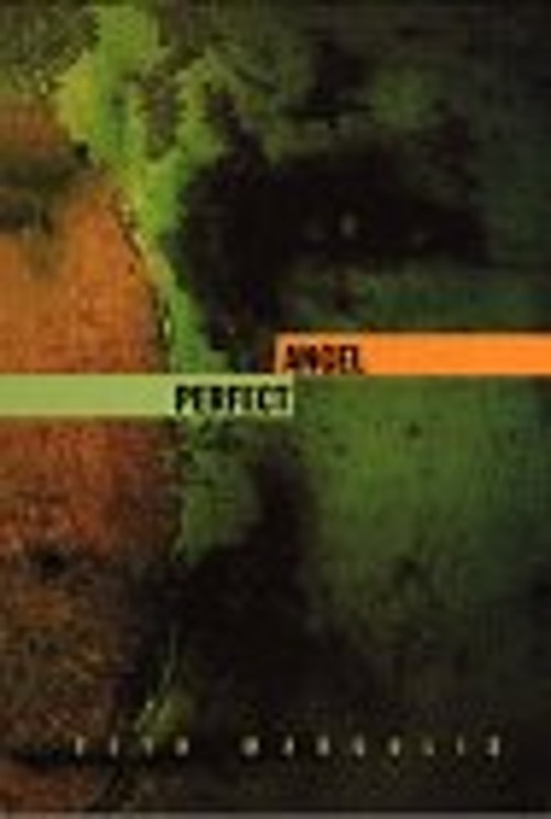 Perfect Angel Hardcover Seth J. Margolis