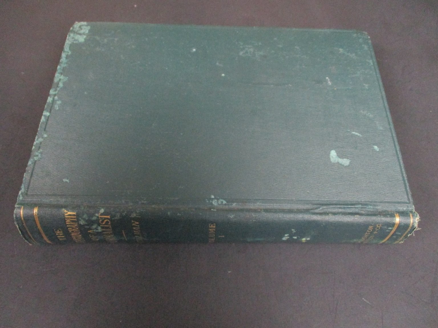 The Autobiography of a Journalist Stillman 1901 First Edition Vol I Memoir