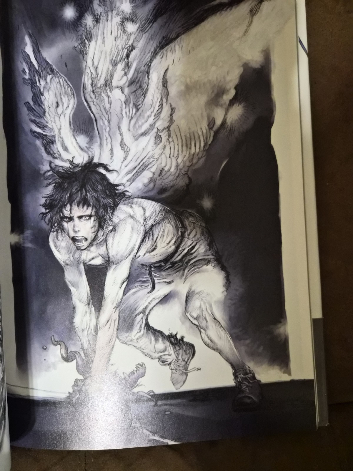 Dragon Girl and Monkey King The Art Of Katsuya Terada Japanese Art Book Comics