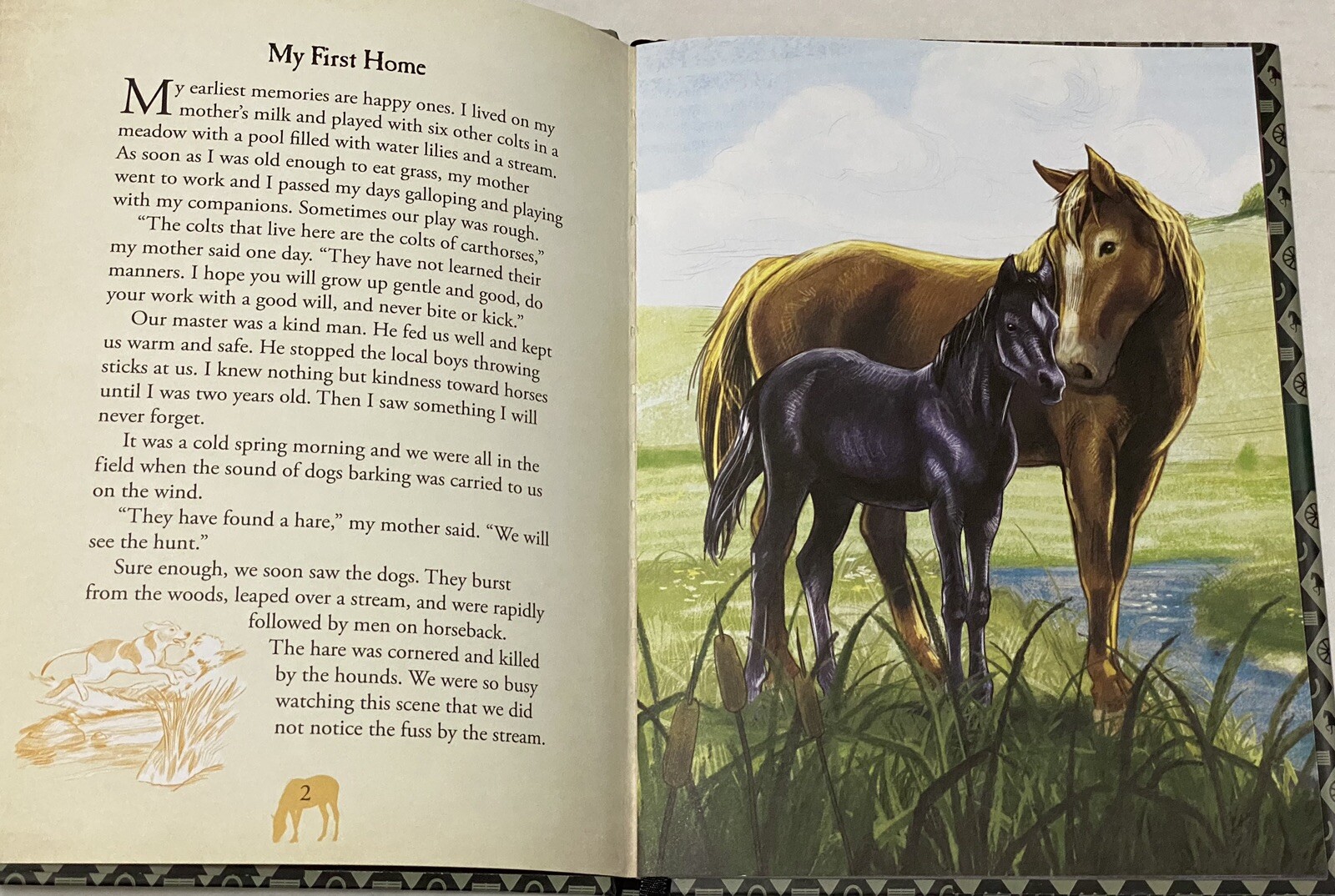 Black Beauty Illustrated Classic by Anna Sewell, Anne Rooney