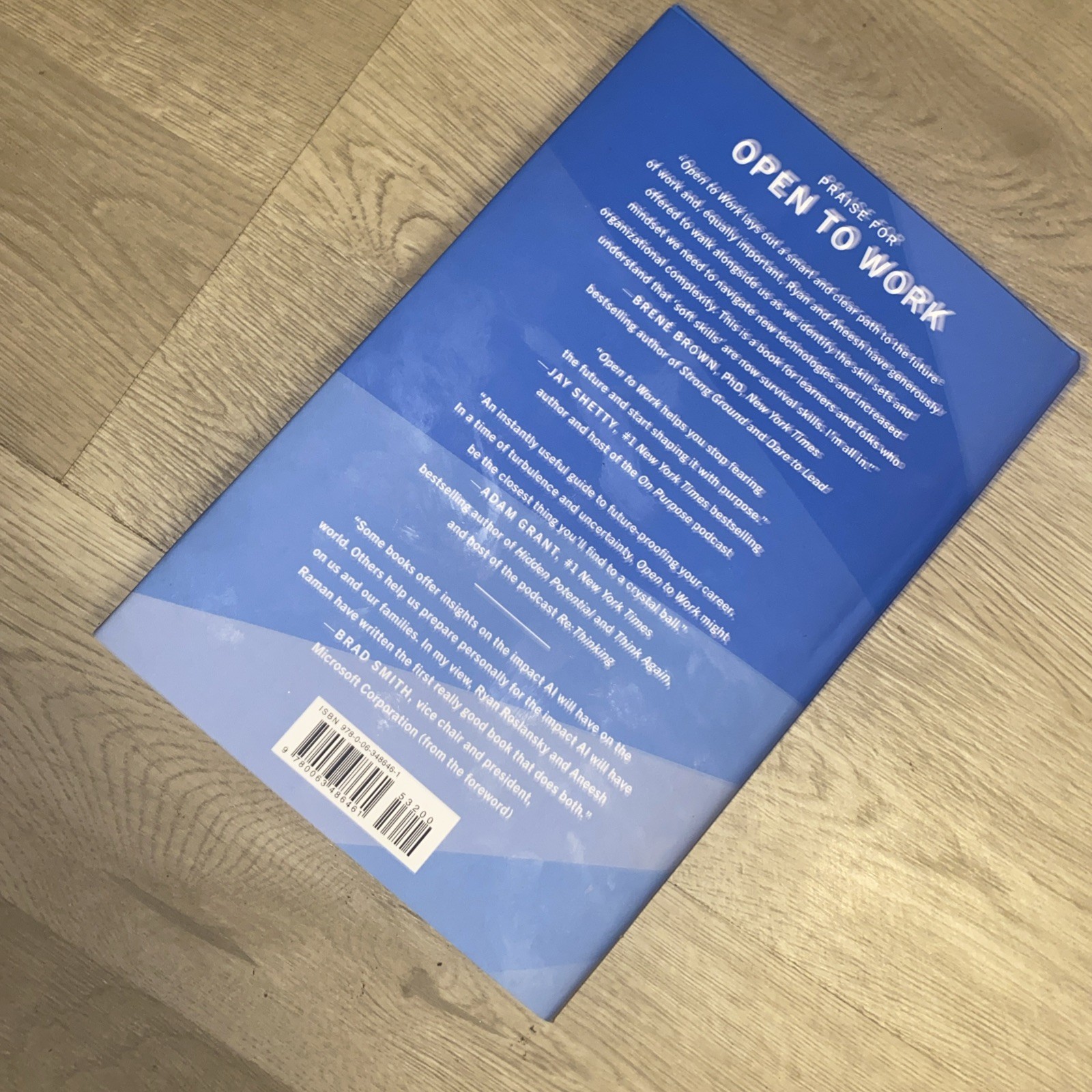 Open to Work How to Get Ahead in the Age of AI HC Book Ryan Roslansky