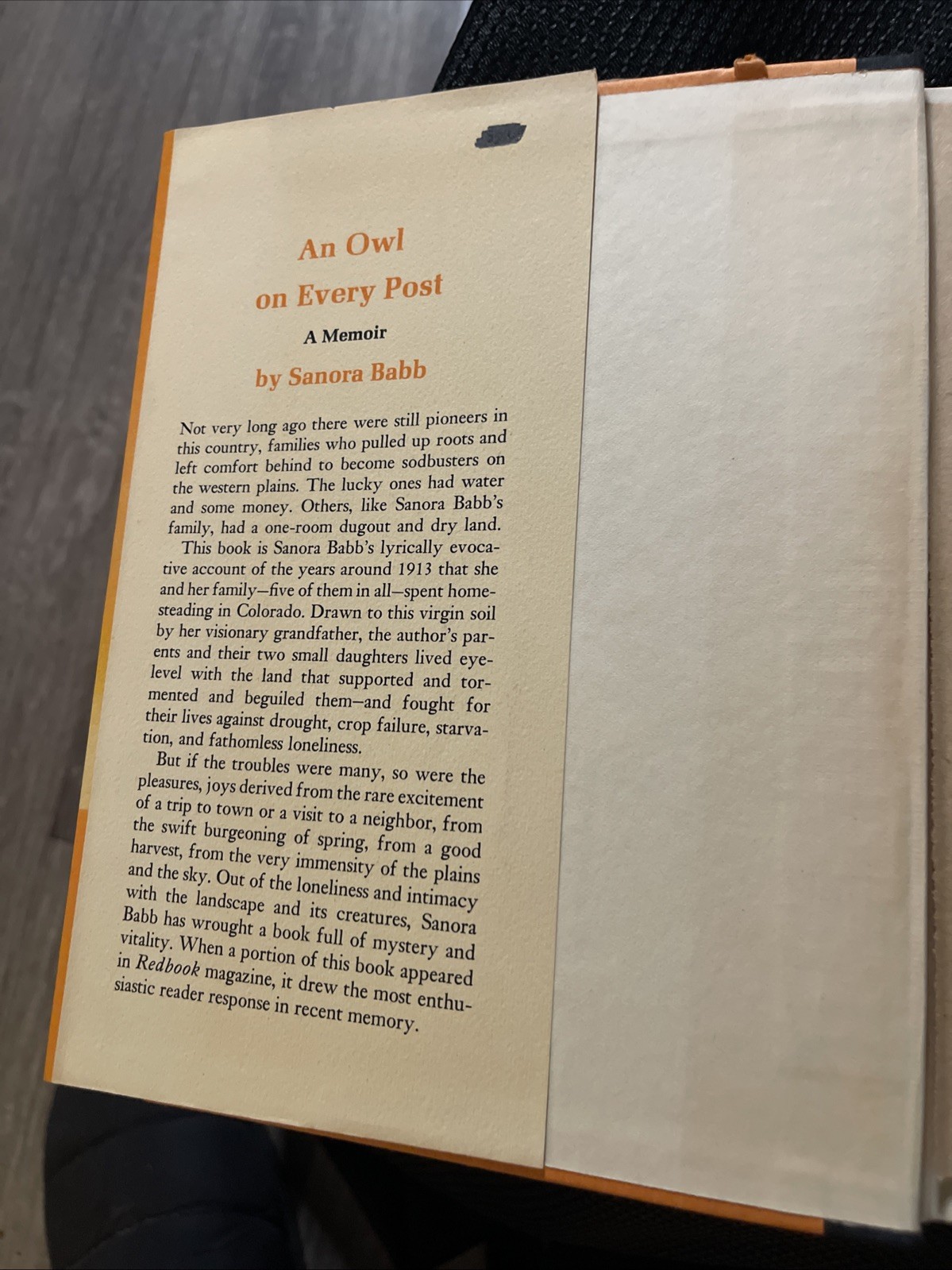 An Owl on Every Post By Sanora Babb RARE 1st Edition HC DJ 1970 Great Condition