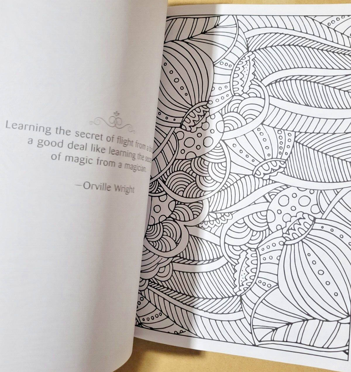 SPLASH OF COLOR – Vol. 27 – Creative Expressions Adult Coloring Book