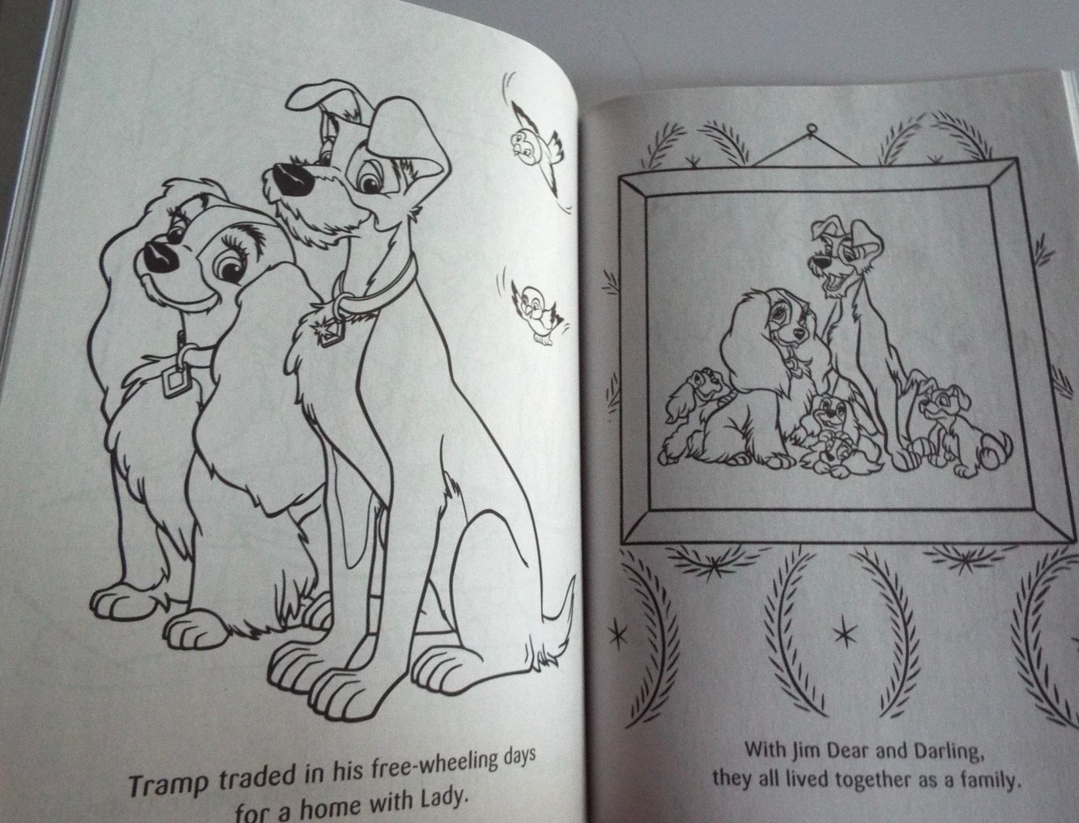 Disney Animal Friends Jumbo Coloring &Activity Book & Dreamtivity Stay Wild NEW