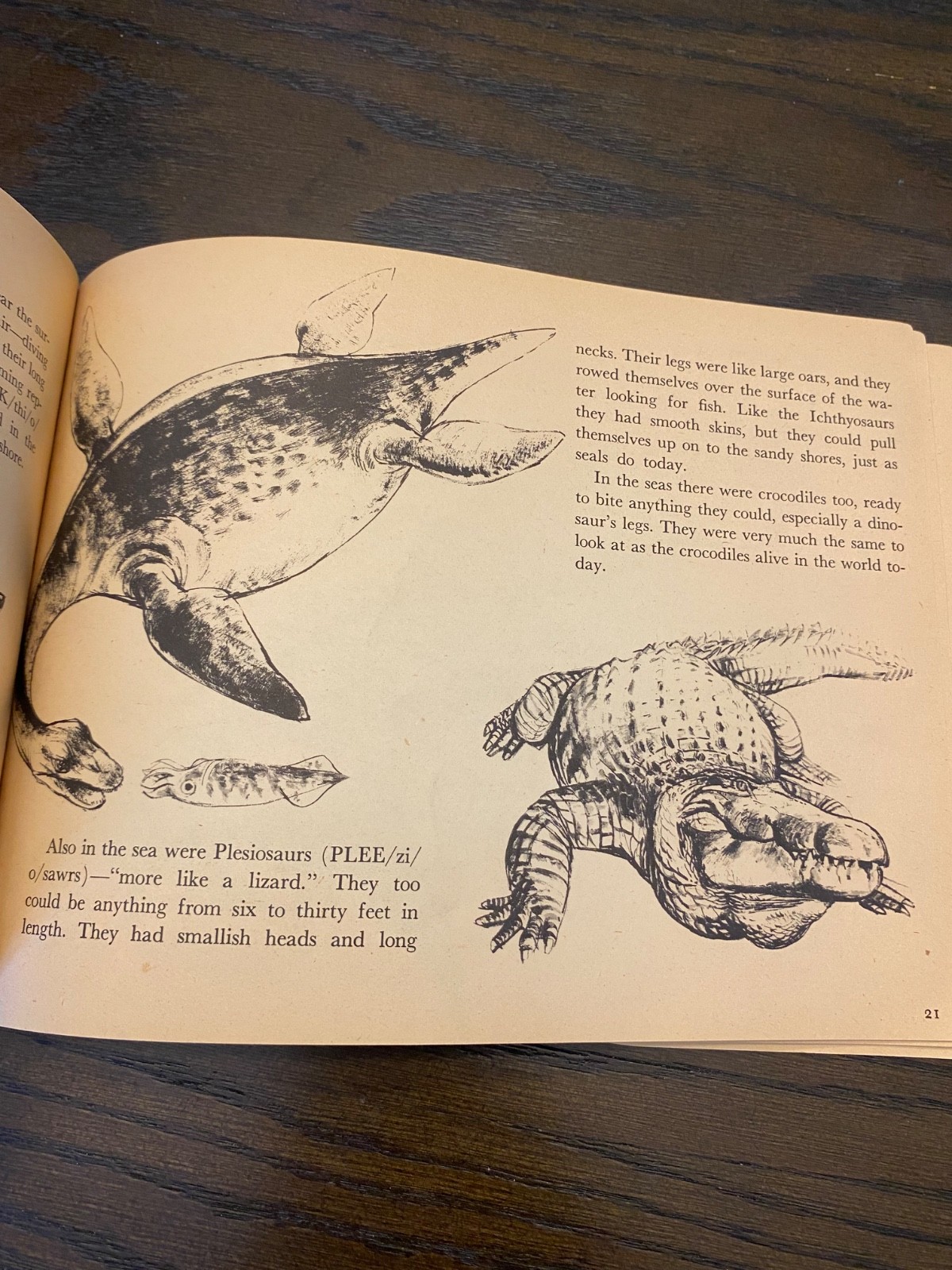 1975 Digging for Dinosaurs PB First Edition