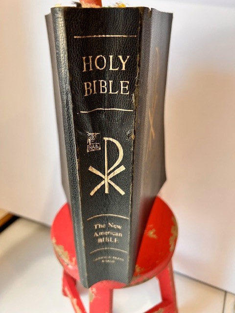 Holy Bible New American Bible NAB Catholic Press World First Edition 1970