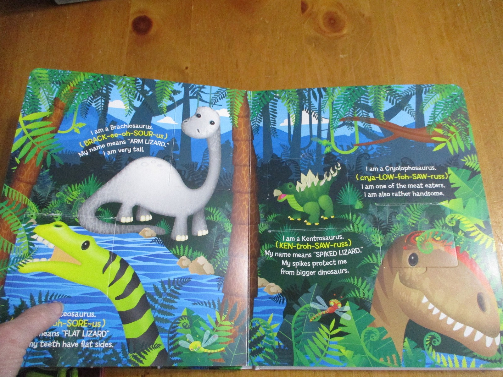 2-Kids Books Learn About Dinosaurs Lift The Flap & How To Catch a Dinosaur