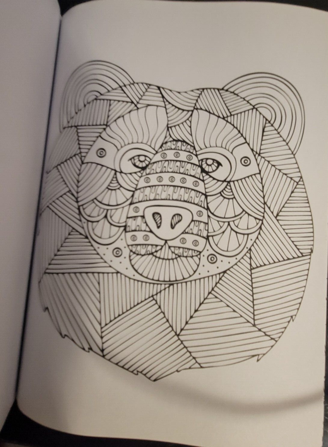 MAJESTIC CREATURES Vol 16 Adult Coloring Book With 47 Prints Ready To Frame