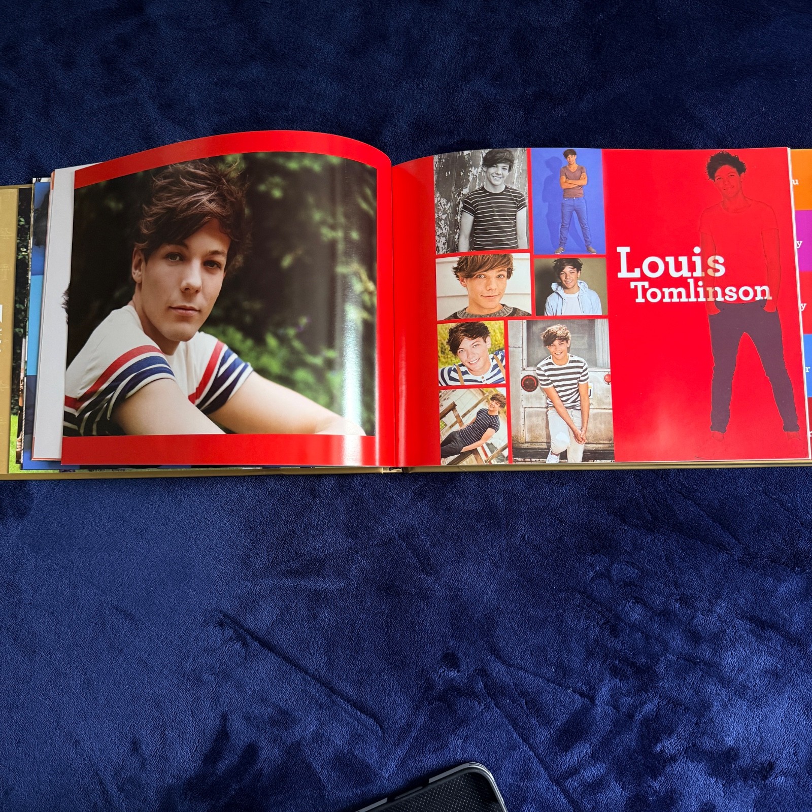 Holy Grail One Direction 1:One Talking Photo Book Japan Limited 2013 NEW Tested