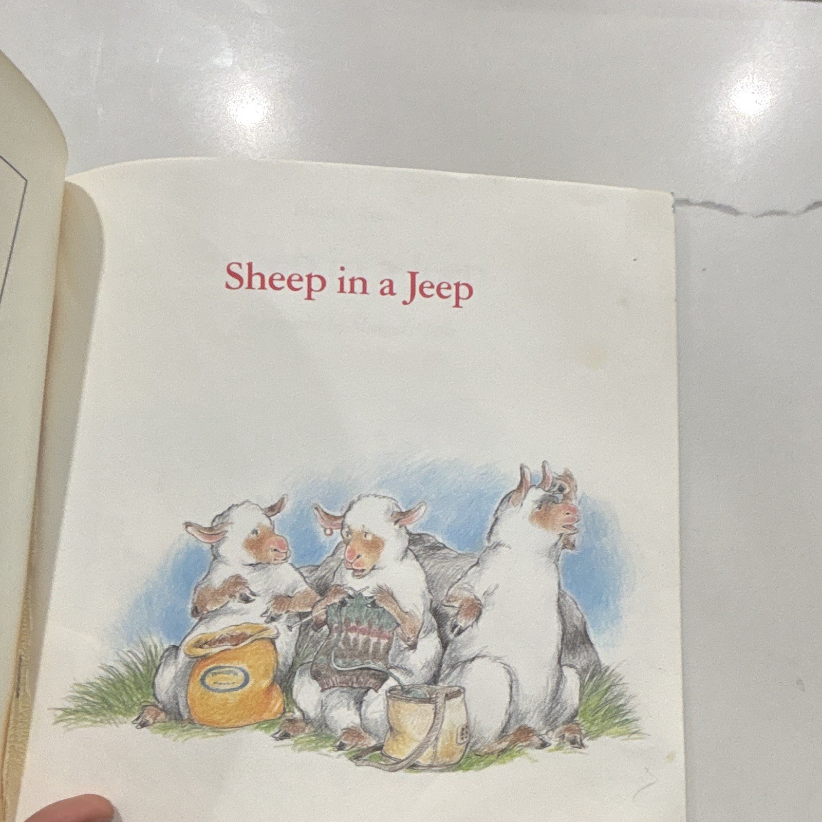 Sheep in a Jeep PB Nancy Shaw Illus Margot Apple Houghton Mifflin 1986