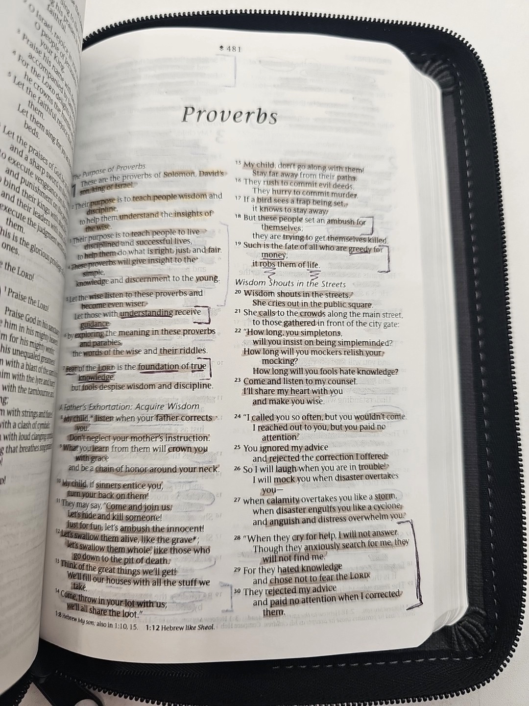 NLT Compact Zipper Bible Filament Enabled LeatherLike Charcoal Patch